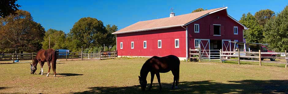 Horse Farm